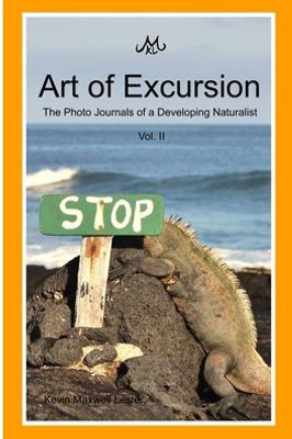 Art Of Excursion Vol. 2