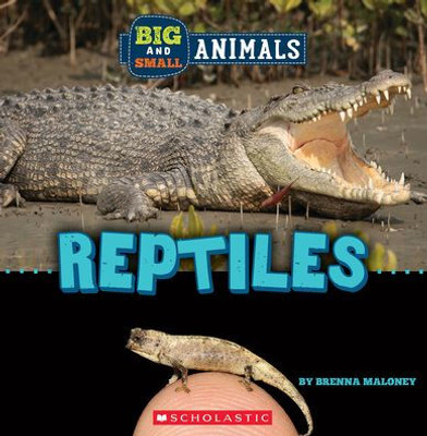 Reptiles (Wild World: Big And Small Animals)