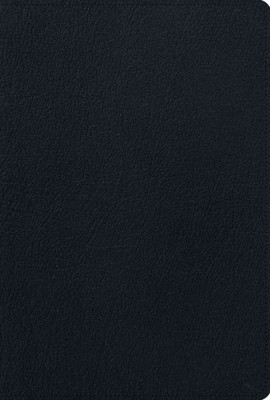 Esv Men'S Study Bible (Genuine Leather, Black)