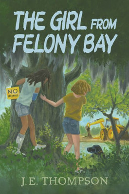 The Girl From Felony Bay (No Series (Generic))