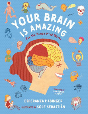 Your Brain Is Amazing: How The Human Mind Works