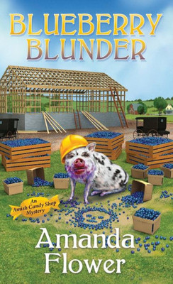 Blueberry Blunder (An Amish Candy Shop Mystery)