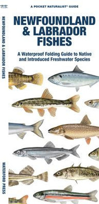 Newfoundland & Labrador Fishes: A Waterproof Folding Guide To Native And Introduced Freshwater Species (Pocket Naturalist Guide)