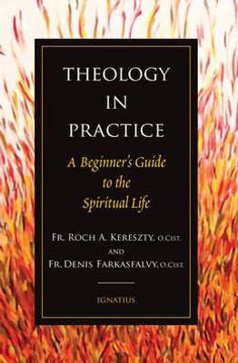 Theology In Practice: A Beginner'S Guide To The Spiritual Life