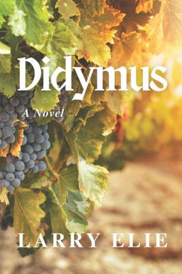 Didymus: A Novel