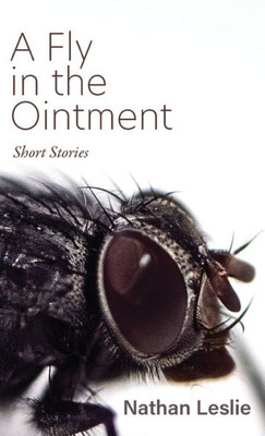 A Fly In The Ointment: Short Stories