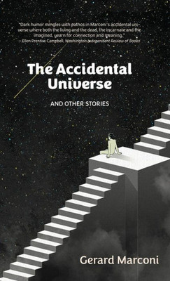 The Accidental Universe And Other Stories