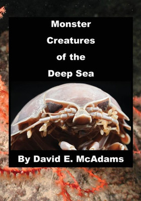 Monster Creatures Of The Deep Sea