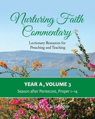 Nurturing Faith Commentary, Year A, Volume 3: Lectionary Resources For Preaching And Teaching-Season After Pentecost: Proper 1-14 (Nurturing Faith ... Resources For Preaching And Teaching)