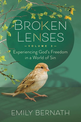 Broken Lenses Volume 3: Experiencing GodS Freedom In A World Of Sin