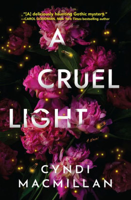 A Cruel Light: A Novel
