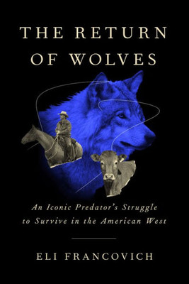 The Return Of Wolves: An Iconic PredatorS Struggle To Survive In The American West