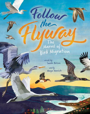 Follow The Flyway: The Marvel Of Bird Migration