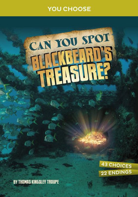 Can You Spot Blackbeard'S Treasure?: An Interactive Treasure Adventure (You Choose: Treasure Hunters)