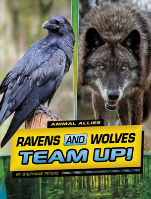 Ravens And Wolves Team Up! (Animal Allies)