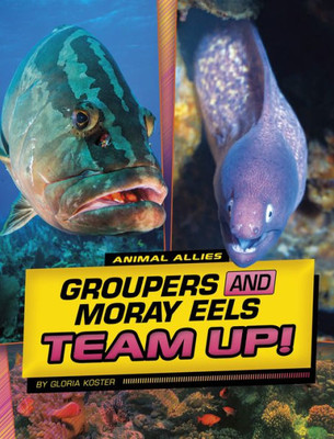 Groupers And Moray Eels Team Up! (Animal Allies)