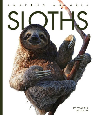 Sloths (Amazing Animals)
