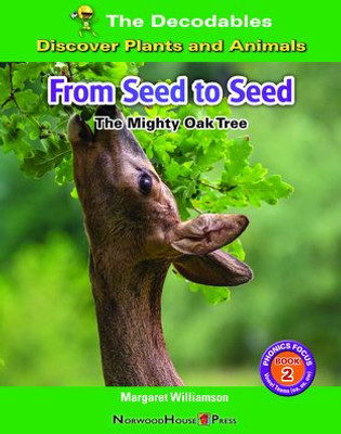 From Seed To Seed: The Mighty Oak Tree