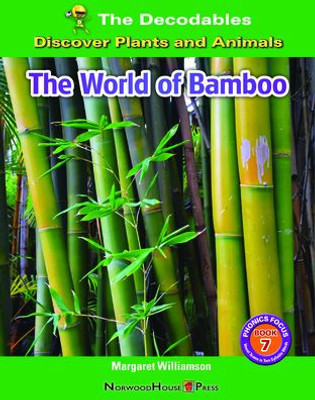 The World Of Bamboo