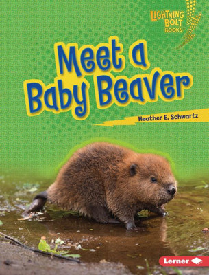 Meet A Baby Beaver (Lightning Bolt Books ® ? Baby North American Animals)