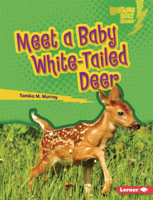 Meet A Baby White-Tailed Deer (Lightning Bolt Books ® ? Baby North American Animals)