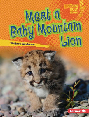 Meet A Baby Mountain Lion (Lightning Bolt Books ® ? Baby North American Animals)