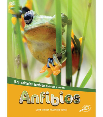 Anfibios (Amphibians), Guided Reading Level N (Los Animales También Tienen Clases) (Spanish Edition)