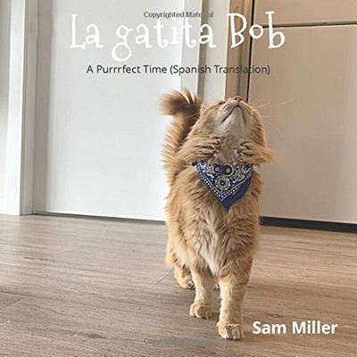 La gatita Bob (Spanish Edition)