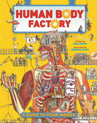 The Human Body Factory: A Guide To Your Insides