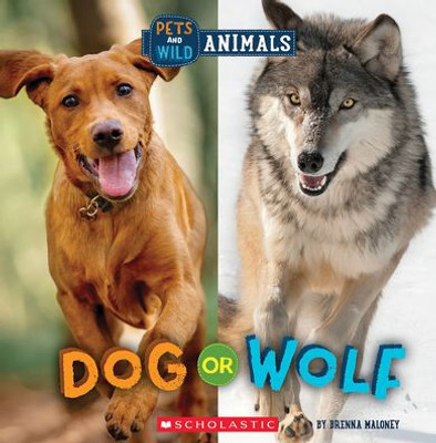 Dog Or Wolf (Wild World: Pets And Wild Animals)