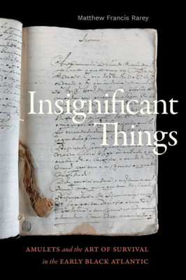 Insignificant Things: Amulets And The Art Of Survival In The Early Black Atlantic (The Visual Arts Of Africa And Its Diasporas)