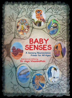 Baby Senses: A Sensory Neuroscience Primer For All Ages