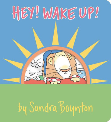 Hey! Wake Up! (Boynton On Board)