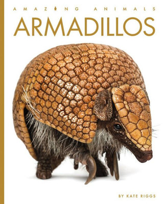 Armadillos (Amazing Animals)