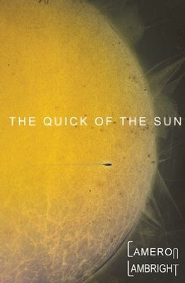 The Quick Of The Sun (The Saga Of The Sun)