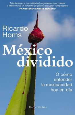 México Dividido (Spanish Edition)