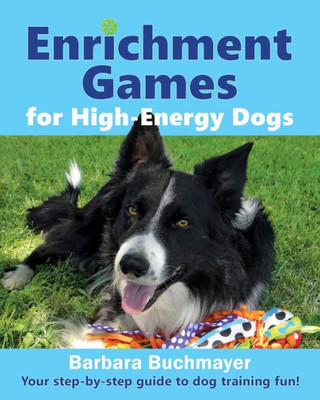 Enrichment Games For High-Energy Dogs: Your Step-By-Step Guide To Dog Training Fun!