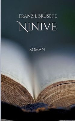 Ninive: Oder Das Wichtigste (German Edition)