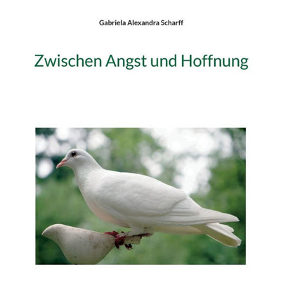 Zwischen Angst Und Hoffnung (German Edition)