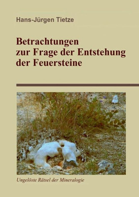 Betrachtungen Zur Frage Der Entstehung Der Feuersteine (German Edition)