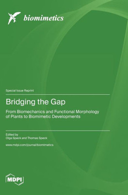 Bridging The Gap: From Biomechanics And Functional Morphology Of Plants To Biomimetic Developments