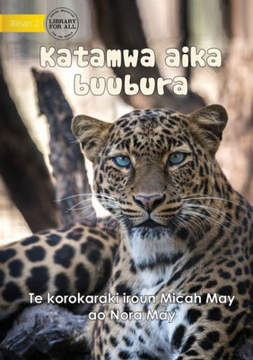 Big Cats - Katamwa Aika Buubura (Te Kiribati)