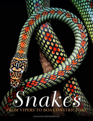 Snakes: From Vipers To Boa Constrictors