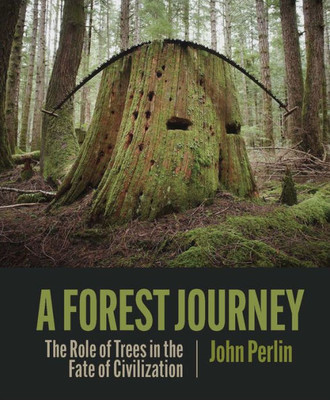 A Forest Journey: The Role Of Trees In The Fate Of Civilization