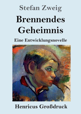 Brennendes Geheimnis (Großdruck): Eine Entwicklungsnovelle (German Edition)