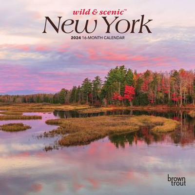 New York Wild & Scenic | 2024 7 X 14 Inch Monthly Mini Wall Calendar | Browntrout | Usa United States Of America Northeast State Nature