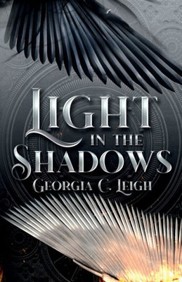Light In The Shadows: Book 1: Shadows And Light (1 Of 4)