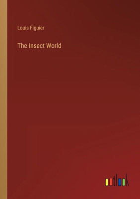 The Insect World