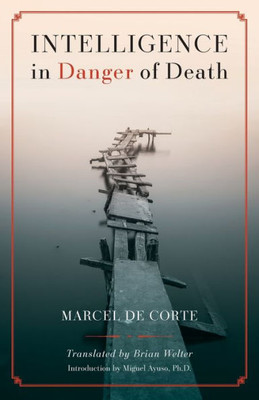 Intelligence In Danger Of Death (English Edition)