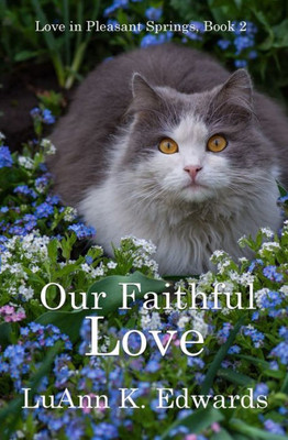 Our Faithful Love (Love In Pleasant Springs)